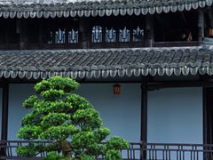 -江心屿景区