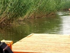 -白渔泡湿地公园