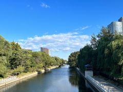 -大望京公园