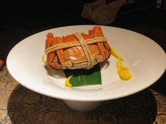 -觀芷隐轩
