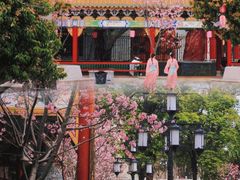 -宝墨园景区