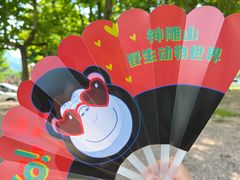 -西霞口神雕山野生动物世界