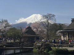-富士山吉田線五合目