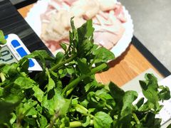 -东椰·海南椰子鸡火锅(朝阳门店)