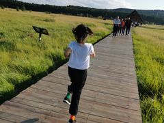 -塞罕坝国家级自然保护区