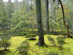 -西芳寺(苔寺)