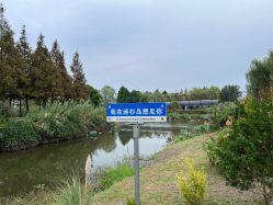 -水八仙生态园