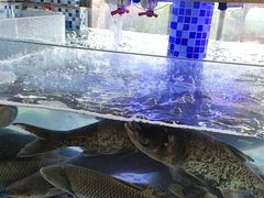 -后湖小院·乡野田园菜