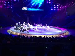 -珠海横琴长隆《卡卡虎奇遇记》