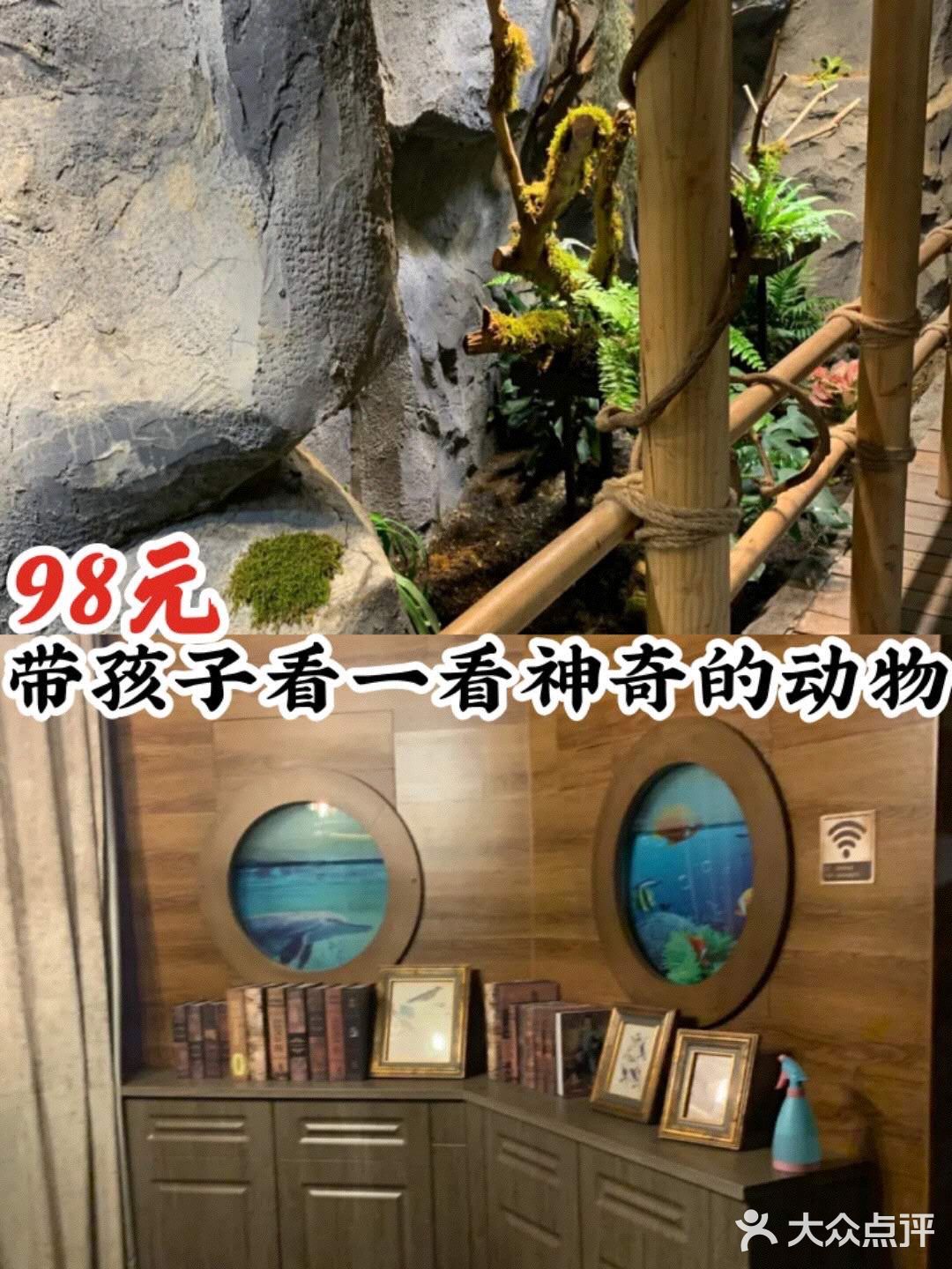 98元带孩子看看神奇的动物[糖果]