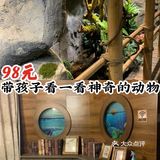 98元带孩子看看神奇的动物[糖果]