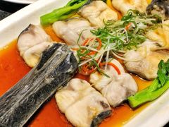 清蒸鸭嘴鱼（斤）-莲花餐饮(高新店)