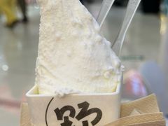 -野人先生Gelato(上海长宁龙之梦店)