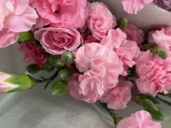 -朝来春花卉市场
