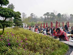 -眉山湿地公园(东坡区)