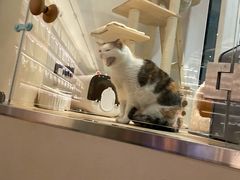 -黑胶星球(华发中城商都店)
