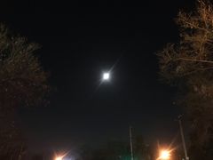 -南粥北面(东大桥店)