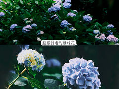 -寂照庵