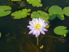 -华南国家植物园-售票处