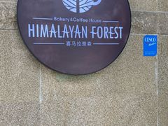 -喜马拉雅森HIMALAYAN FOREST
