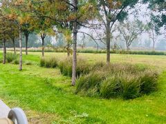 -汉长安城未央宫国家考古遗址公园