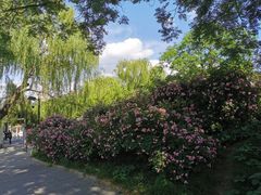 -丰台花园