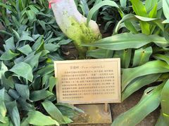 -国家植物园南园