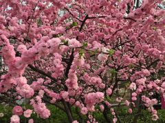 -回龙观体育文化公园