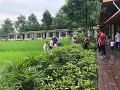 -洪湖家庭农场·团建·露营·会议