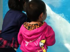 -烟台海昌鲸鲨海洋公园