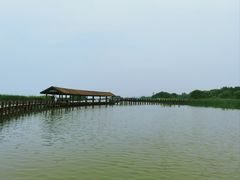 -苏州太湖湖滨国家湿地公园