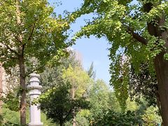 -西安大兴善寺