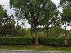 -狼山风景名胜区