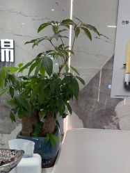 -LJOY丽锦造型·烫发染发