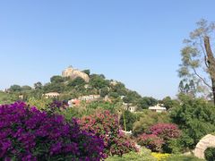 -鼓浪屿钢琴博物馆