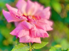 -苏州太湖国际会议中心