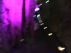 -塔云山
