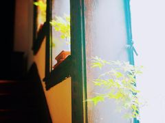 -大可堂普洱茶馆(襄阳南路馆)