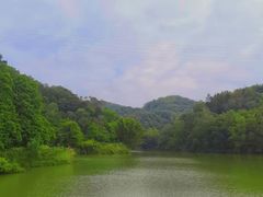 -中山市树木园