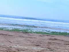 -青岛金沙滩