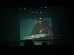 -合肥大剧院