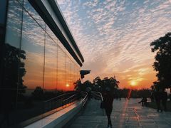 -金鸡山公园