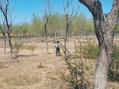 -东郊湿地公园