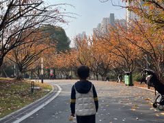 -苏州河梦清园环保主题公园