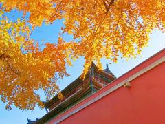-棋盘山风景区