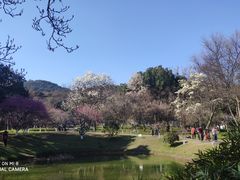 -杭州植物园