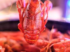 小龙虾-盒马鲜生(曜一城店)