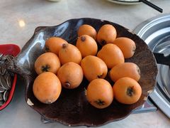 -蘑统田下·野生菌火锅