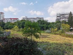 -光明港公园