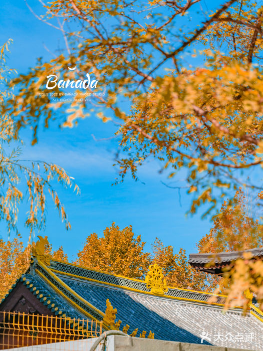松山寺图片